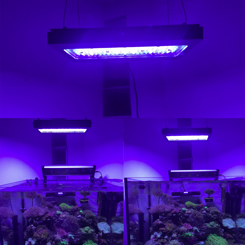 A8se Pro III MAX Blue 240W Све – обзор и цена Aquarium Blue Marine Reef