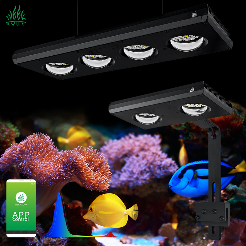 ZXY Лидер продаж WEEKAQUA Z250 – обзор и цена Aquarium Blue Marine Reef