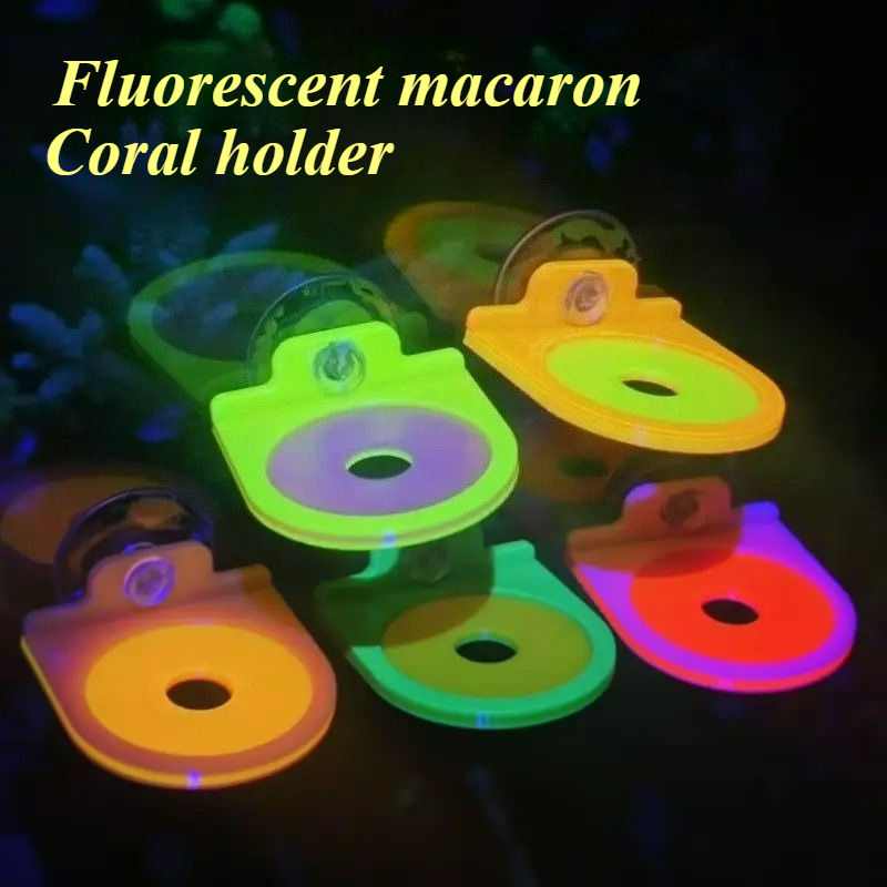 Цвет случайный коралловый держ – обзор и цена Aquarium Marine Color